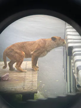 多摩動物公園に投稿された画像（2025/4/20）