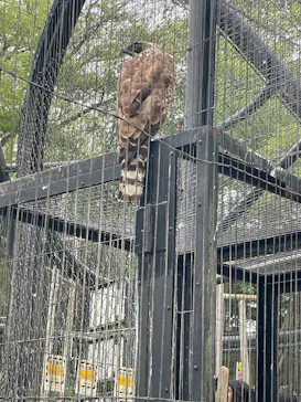 多摩動物公園に投稿された画像（2025/4/20）