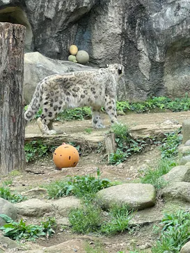 多摩動物公園に投稿された画像（2025/4/20）