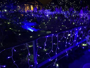 江の島シーキャンドルに投稿された画像（2025/4/20）