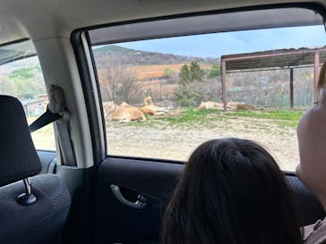 東北サファリパークに投稿された画像（2025/4/20）