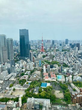 手塚治虫「火の鳥」展－火の鳥は、エントロピー増大と抗う動的平衡＝宇宙生命の象徴－に投稿された画像（2025/4/20）