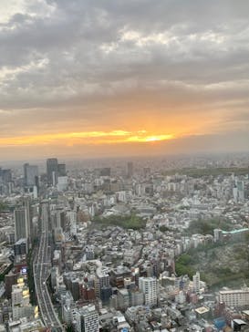 手塚治虫「火の鳥」展－火の鳥は、エントロピー増大と抗う動的平衡＝宇宙生命の象徴－に投稿された画像（2025/4/20）