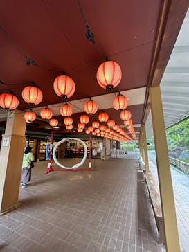 加賀 伝統工芸村　ゆのくにの森に投稿された画像（2025/4/20）