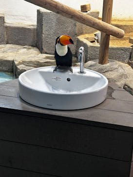 NIFREL（ニフレル）に投稿された画像（2025/4/20）