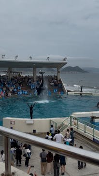 鴨川シーワールドに投稿された画像（2025/4/20）