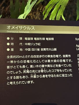 福井県立恐竜博物館に投稿された画像（2025/4/20）