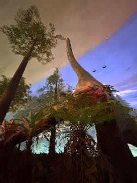 福井県立恐竜博物館に投稿された画像（2025/4/20）