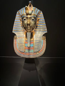 MYSTERY OF TUTANKHAMEN 体感型古代エジプト展に投稿された画像（2025/4/20）