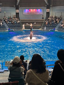 マクセル アクアパーク品川に投稿された画像（2025/4/20）