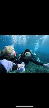 武藤潜水に投稿された画像（2025/4/21）