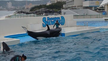 鴨川シーワールドに投稿された画像（2025/4/21）