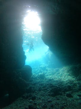 武藤潜水に投稿された画像（2025/4/21）