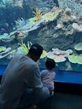 アクアワールド茨城県大洗水族館に投稿された画像（2025/4/21）