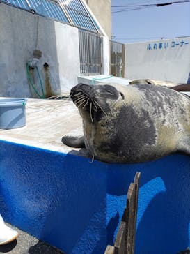 南知多ビーチランド＆南知多おもちゃ王国に投稿された画像（2025/4/21）