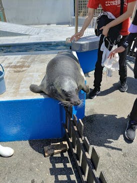 南知多ビーチランド＆南知多おもちゃ王国に投稿された画像（2025/4/21）