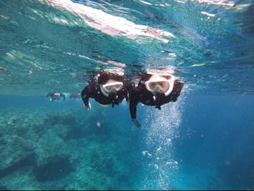 武藤潜水に投稿された画像（2025/4/21）