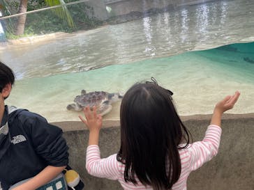 鴨川シーワールドに投稿された画像（2025/4/21）