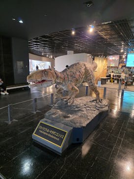 福井県立恐竜博物館に投稿された画像（2025/4/21）
