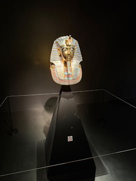 MYSTERY OF TUTANKHAMEN 体感型古代エジプト展に投稿された画像（2025/4/21）