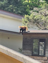 千葉市動物公園に投稿された画像（2025/4/21）