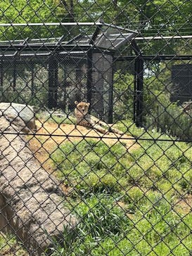 千葉市動物公園に投稿された画像（2025/4/21）