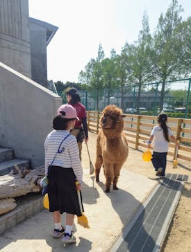 霞ケ浦 どうぶつとみんなのいえに投稿された画像（2025/4/21）