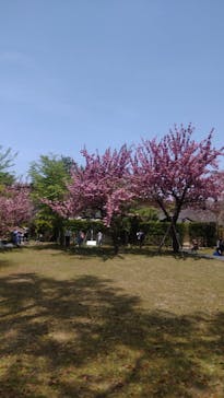 奈良国立博物館開館130年記念特別展「超 国宝―祈りのかがやきー」	に投稿された画像（2025/4/21）