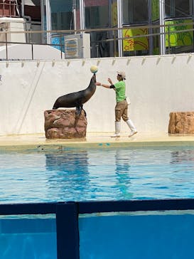 伊豆・三津シーパラダイスに投稿された画像（2025/4/21）