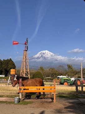 まかいの牧場に投稿された画像（2025/4/21）