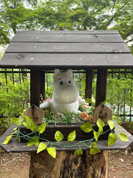 ムーミンバレーパークに投稿された画像（2025/4/21）