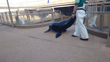 アクアワールド茨城県大洗水族館に投稿された画像（2025/4/21）