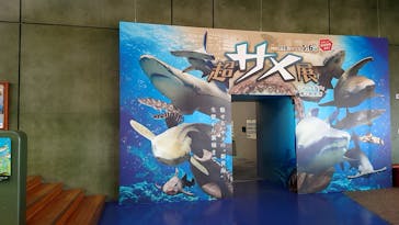 アクアワールド茨城県大洗水族館に投稿された画像（2025/4/21）