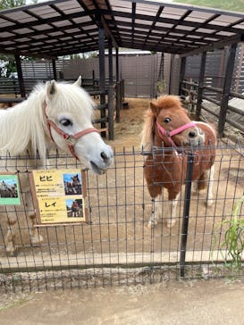 伊豆シャボテン動物公園に投稿された画像（2025/4/21）