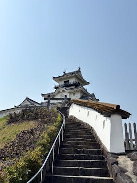 掛川城に投稿された画像（2025/4/21）