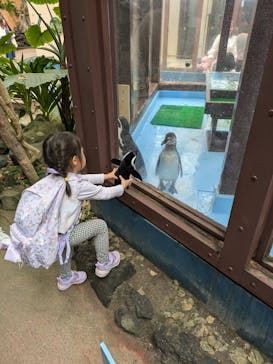 ゼロ距離水族館 伊勢シーパラダイスに投稿された画像（2025/4/21）