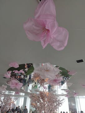 サンシャイン60展望台に投稿された画像（2025/4/21）