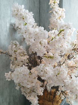 サンシャイン60展望台に投稿された画像（2025/4/21）