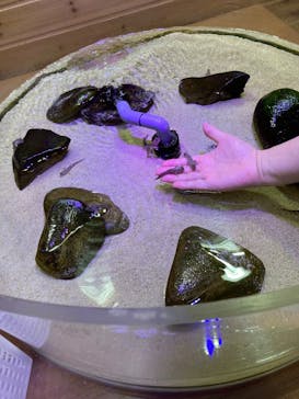 南知多ビーチランド＆南知多おもちゃ王国に投稿された画像（2025/4/21）