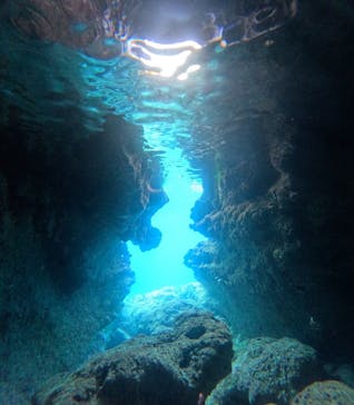 ガイド屋さんに投稿された画像（2025/4/21）