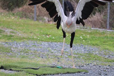 掛川花鳥園に投稿された画像（2025/4/21）
