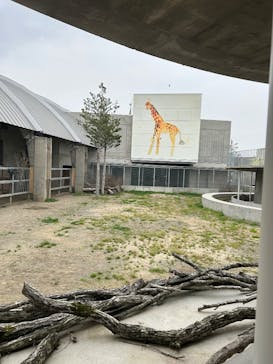 霞ケ浦 どうぶつとみんなのいえに投稿された画像（2025/4/21）