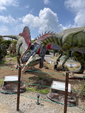 伊豆ぐらんぱる公園に投稿された画像（2025/4/21）