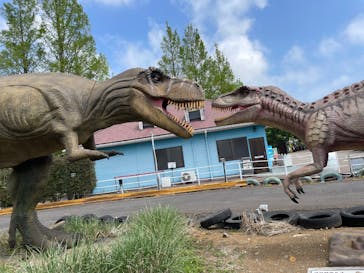 伊豆ぐらんぱる公園に投稿された画像（2025/4/21）