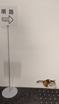 藤田嗣治 7つの情熱（ＳＯＭＰＯ美術館）	に投稿された画像（2025/4/22）