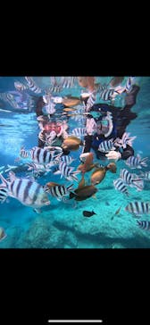 武藤潜水に投稿された画像（2025/4/22）