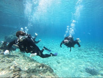 武藤潜水に投稿された画像（2025/4/22）