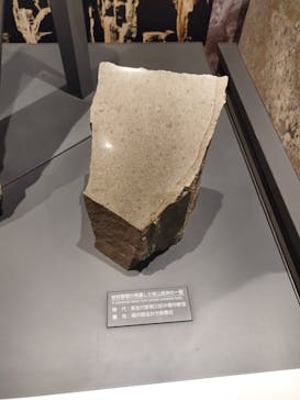 福井県立恐竜博物館に投稿された画像（2025/4/22）