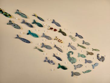 京都水族館に投稿された画像（2025/4/22）