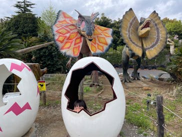 伊豆ぐらんぱる公園に投稿された画像（2025/4/22）